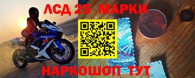ПСИЛОЦИБИНОВЫЕ ГРИБЫ Заволжье