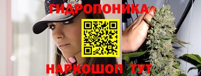 ПСИЛОЦИБИНОВЫЕ ГРИБЫ Заволжье