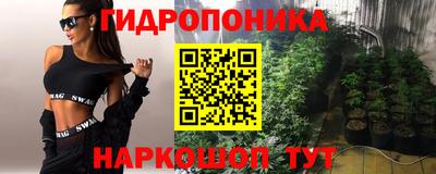 скорость Заводоуковск