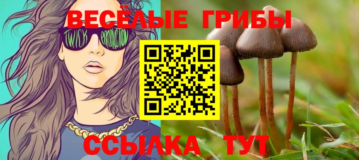 Псилоцибиновые грибы Cubensis  Вход с VPN  Кунгур 