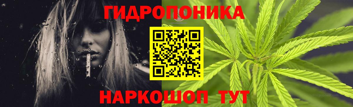 Бошки Шишки гибрид Кунгур